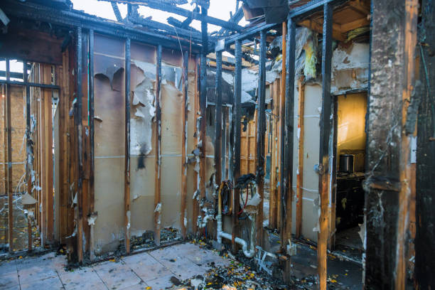 Professional Fire Damage Removal technician working in Hunters Creek Village, TX